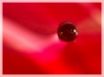 Tapety na plochu - Crimson pearl