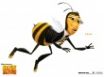 Tapety na plochu - Adam Bee