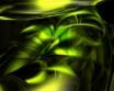 Tapety na plochu - AMD jungle