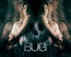 Tapety na plochu - Bug