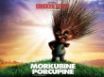 Tapety na plochu - Chicken Little hair