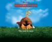 Tapety na plochu - Chicken little