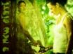 Tapety na plochu - Evangeline Lilly