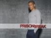 Tapety na plochu - Michael Scofield