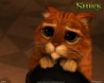 Tapety na plochu - Shrek 3