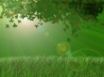 Tapety na plochu - Green leafs in light