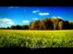 Tapety na plochu - Autumn is here