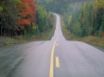 Tapety na plochu - Forest road