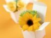 Tapety na plochu - Boxed sunflower