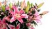 Tapety na plochu - Nice flower bouquet