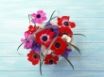 Tapety na plochu - Wall Flowers