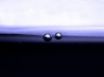 Tapety na plochu - Blue bubbles