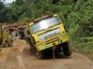 Tapety na plochu - Borneo