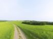 Tapety na plochu - Nature Road