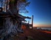 Tapety na plochu - Bake Sunset Roots
