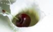 Tapety na plochu - Cherry Milk Drop