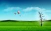 Tapety na plochu - Sky Balloon