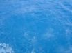 Tapety na plochu - Blue Water