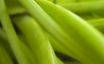 Tapety na plochu - Green leafs