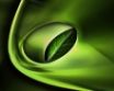Tapety na plochu - Symbolic leaf