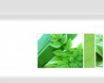 Tapety na plochu - Canopy leafs
