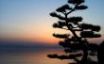 Tapety na plochu - Biwako sunset