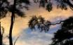Tapety na plochu - Bark Bay sunset