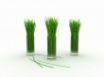 Tapety na plochu - Lemon grass
