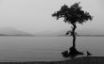 Tapety na plochu - Tree on a beach