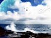 Tapety na plochu - Birds and waves