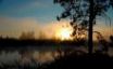 Tapety na plochu - Sunset light