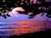 Tapety na plochu - North Shore Sailing