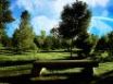 Tapety na plochu - Green bench