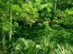 Tapety na plochu - Blue Spring State