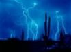 Tapety na plochu - Lightning and cactus