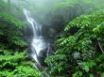 Tapety na plochu - Lower Doyles Falls