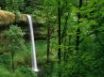 Tapety na plochu - Silver Falls State Park