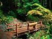 Tapety na plochu - Sol Duc Falls Trail