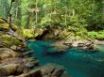 Tapety na plochu - Ohanapecosh River