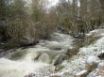 Tapety na plochu - Cold in the river