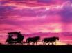 Tapety na plochu - Carriage in sunset