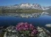 Tapety na plochu - Mountain reflects