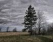 Tapety na plochu - Cloudy sky