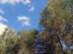 Tapety na plochu - Sky of the Milace