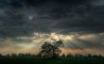 Tapety na plochu - Clouds over tree