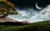 Tapety na plochu - Moon over field
