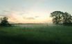 Tapety na plochu - Green field and mist