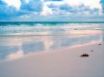 Tapety na plochu - Beach reflections
