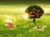 Tapety na plochu - Strawberry tree