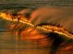 Tapety na plochu - Sunset in the waves